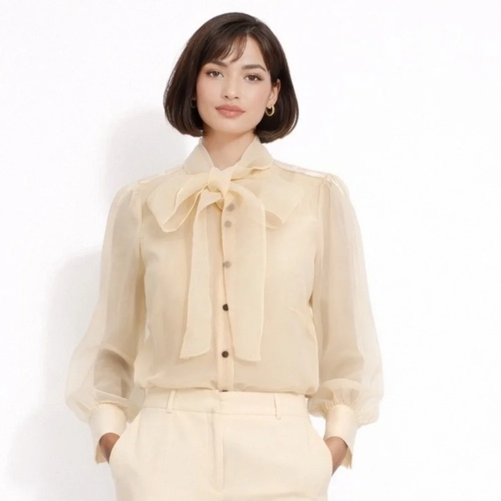 Zara Organza Bow Blouse Cream Sheer Button Front Top L Soft Femininity 102-08